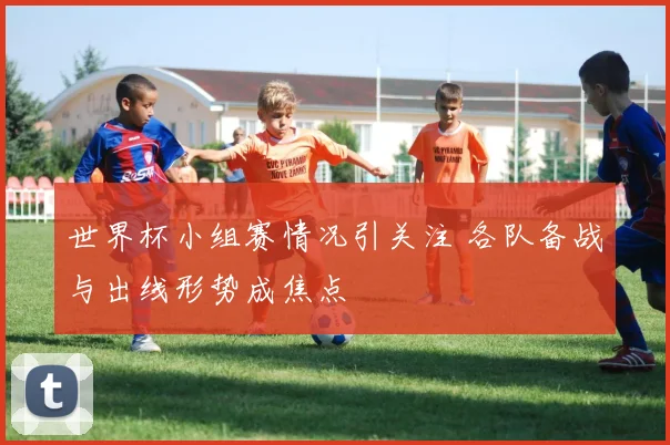 世界杯小组赛情况引关注 各队备战与出线形势成焦点