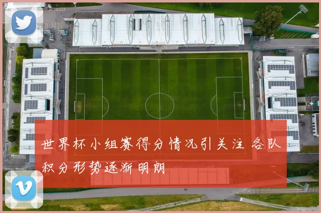 世界杯小组赛得分情况引关注 各队积分形势逐渐明朗