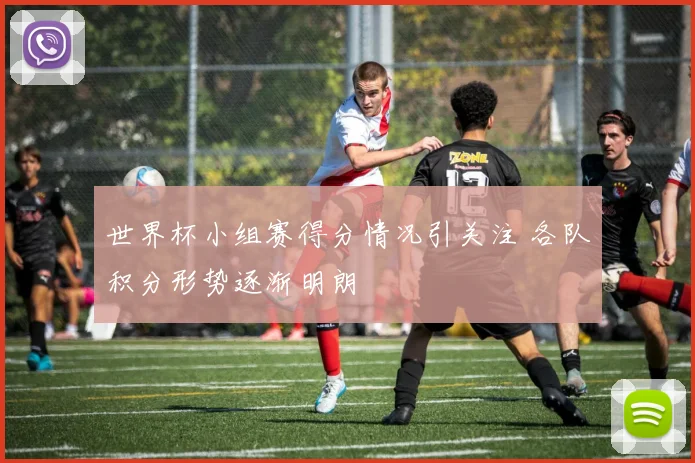 世界杯小组赛得分情况引关注 各队积分形势逐渐明朗