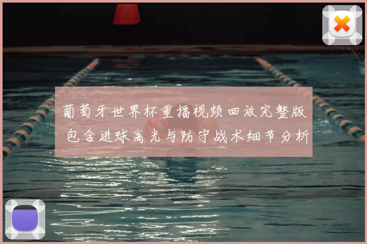 葡萄牙世界杯重播视频回放完整版 包含进球高光与防守战术细节分析