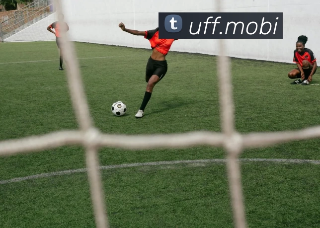 人人体育 - 网络篮球NBA直播，足球直播，亚洲杯直播免费线路 - 人人体育直播吧平台生态图